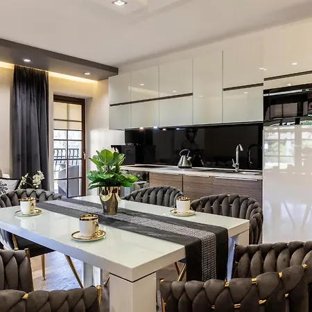 Madonna 자코파네